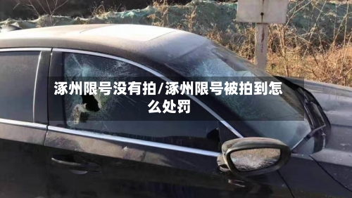 涿州限号没有拍/涿州限号被拍到怎么处罚-第2张图片