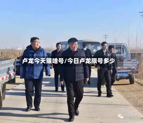 卢龙今天限啥号/今日卢龙限号多少