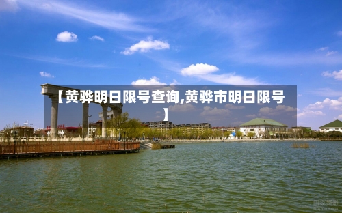 【黄骅明日限号查询,黄骅市明日限号】