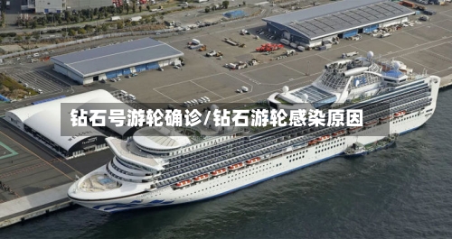 钻石号游轮确诊/钻石游轮感染原因-第2张图片