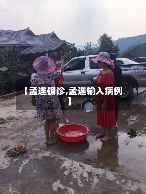 【孟连确诊,孟连输入病例】-第2张图片