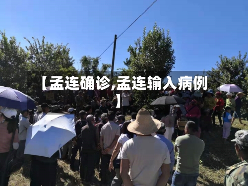 【孟连确诊,孟连输入病例】-第3张图片