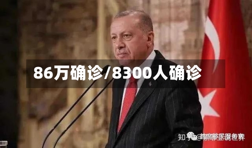 86万确诊/8300人确诊-第3张图片