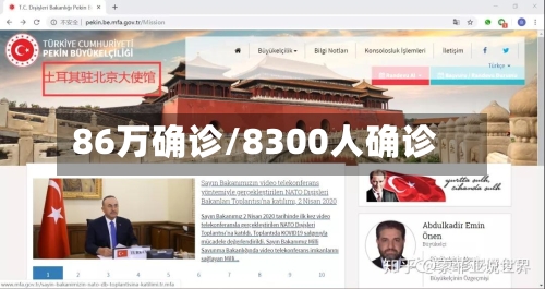 86万确诊/8300人确诊-第2张图片