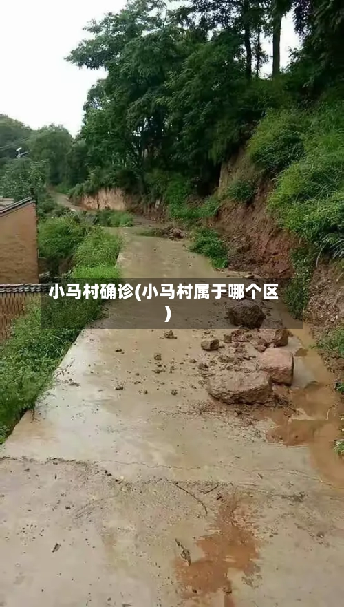 小马村确诊(小马村属于哪个区)