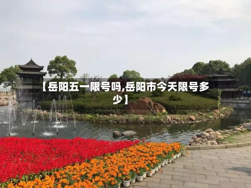 【岳阳五一限号吗,岳阳市今天限号多少】-第2张图片