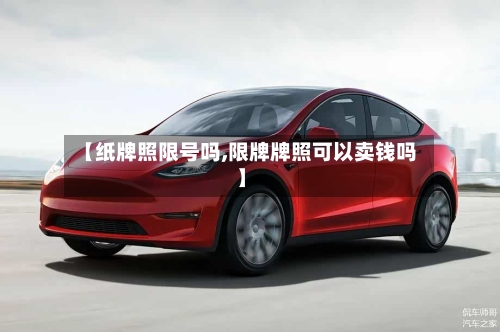 【纸牌照限号吗,限牌牌照可以卖钱吗】-第3张图片