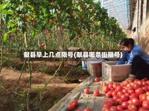 献县早上几点限号(献县哪条街限号)-第2张图片
