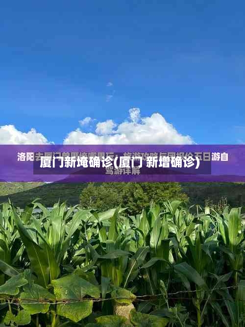 厦门新埯确诊(厦门 新增确诊)-第2张图片
