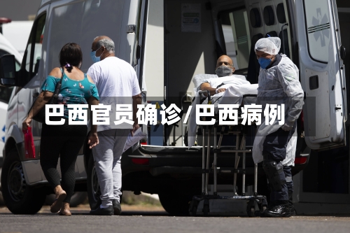 巴西官员确诊/巴西病例-第3张图片