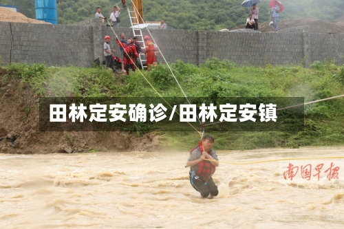 田林定安确诊/田林定安镇