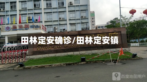 田林定安确诊/田林定安镇-第2张图片