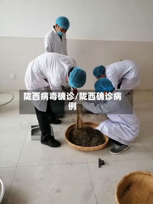 陇西病毒确诊/陇西确诊病例