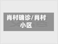 肖村确诊/肖村小区-第3张图片