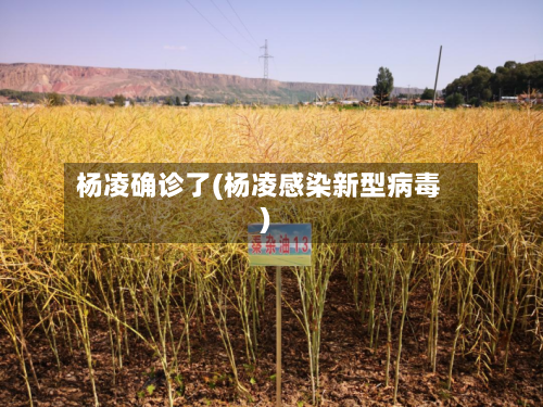 杨凌确诊了(杨凌感染新型病毒)-第2张图片