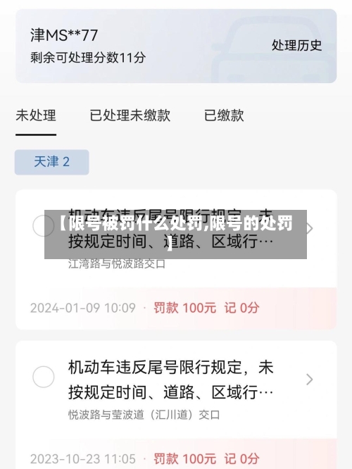 【限号被罚什么处罚,限号的处罚】-第2张图片