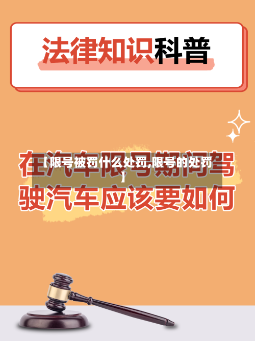 【限号被罚什么处罚,限号的处罚】