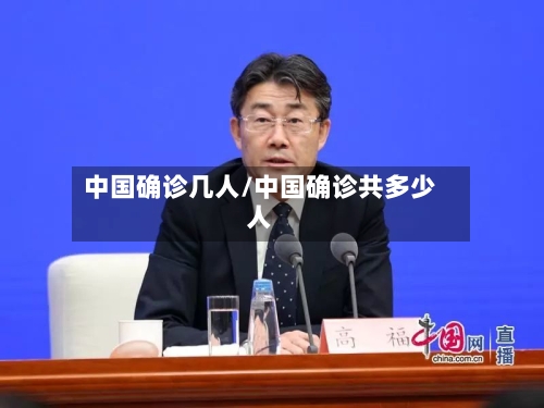 中国确诊几人/中国确诊共多少人-第2张图片