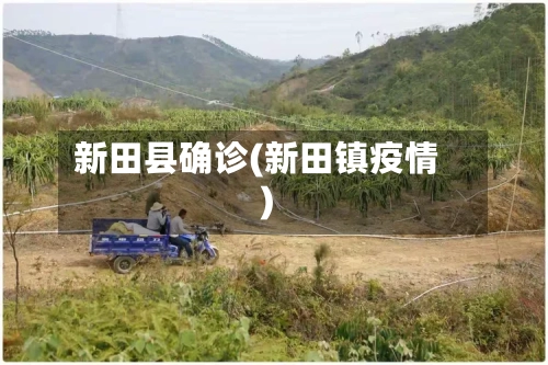 新田县确诊(新田镇疫情)-第3张图片