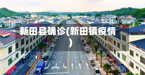 新田县确诊(新田镇疫情)-第2张图片