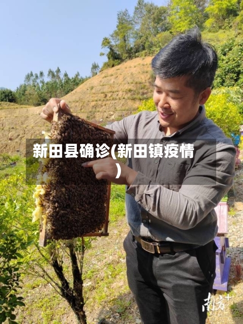 新田县确诊(新田镇疫情)