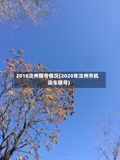 2018汝州限号情况(2020年汝州市机动车限号)-第2张图片