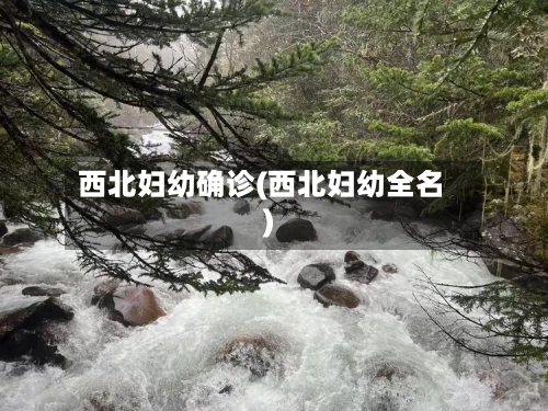 西北妇幼确诊(西北妇幼全名)-第2张图片