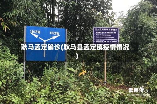 耿马孟定确诊(耿马县孟定镇疫情情况)-第2张图片