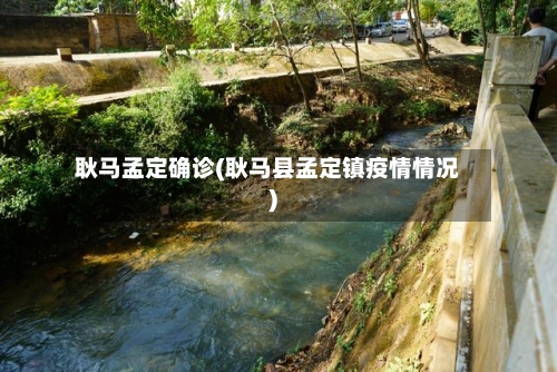 耿马孟定确诊(耿马县孟定镇疫情情况)