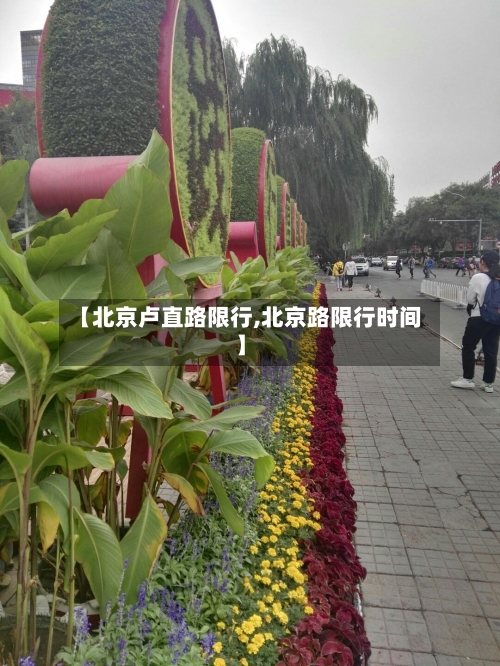 【北京卢直路限行,北京路限行时间】-第3张图片