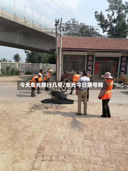今天东光限行几号/东光今日限号吗-第3张图片