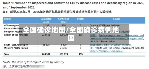 全国确诊地图/全国确诊病例地图
