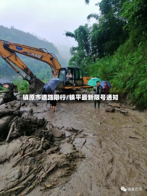 镇原市道路限行/镇平最新限号通知