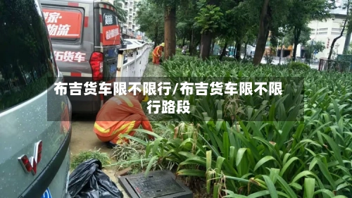 布吉货车限不限行/布吉货车限不限行路段-第3张图片