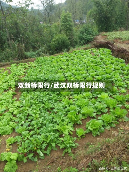 双新桥限行/武汉双桥限行规则