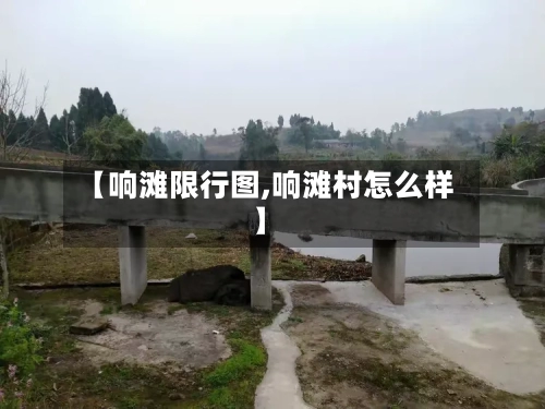 【响滩限行图,响滩村怎么样】-第2张图片
