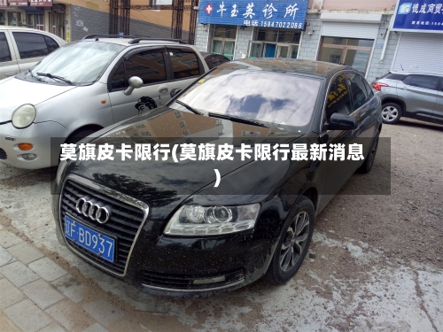 莫旗皮卡限行(莫旗皮卡限行最新消息)