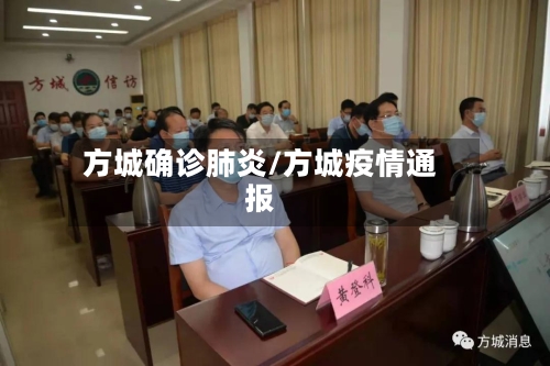 方城确诊肺炎/方城疫情通报-第2张图片