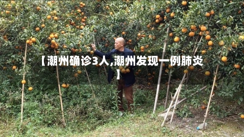 【潮州确诊3人,潮州发现一例肺炎】