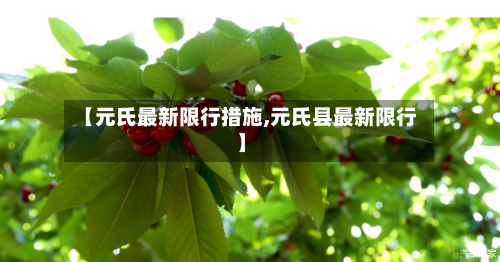 【元氏最新限行措施,元氏县最新限行】