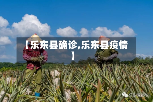 【乐东县确诊,乐东县疫情】-第2张图片
