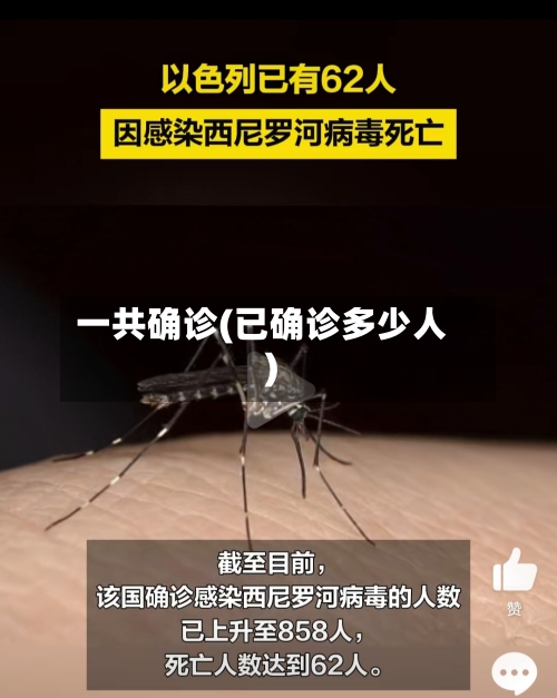 一共确诊(已确诊多少人)-第3张图片