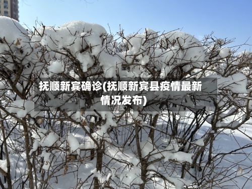 抚顺新宾确诊(抚顺新宾县疫情最新情况发布)-第2张图片