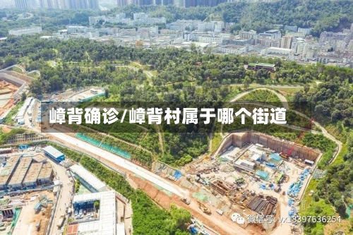 嶂背确诊/嶂背村属于哪个街道-第2张图片