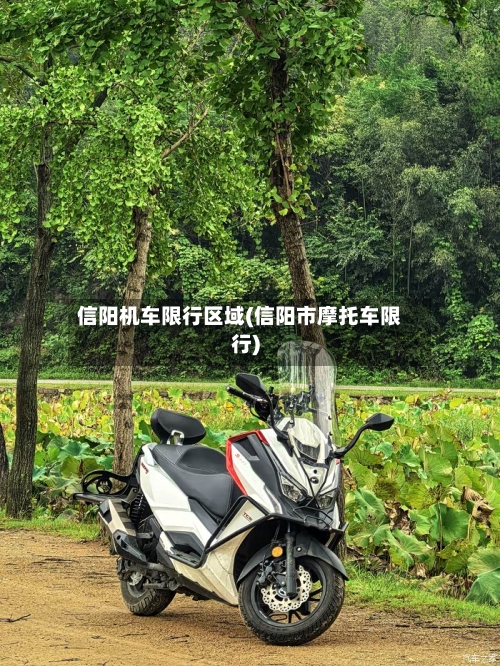 信阳机车限行区域(信阳市摩托车限行)