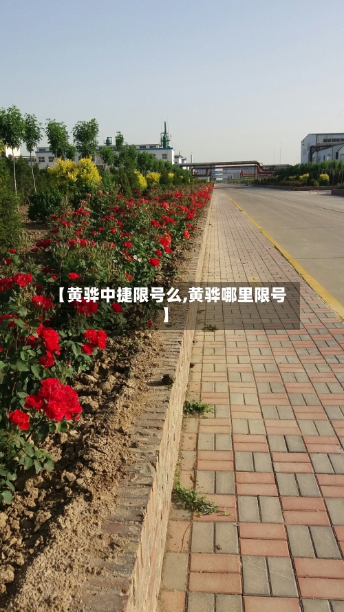 【黄骅中捷限号么,黄骅哪里限号】-第2张图片