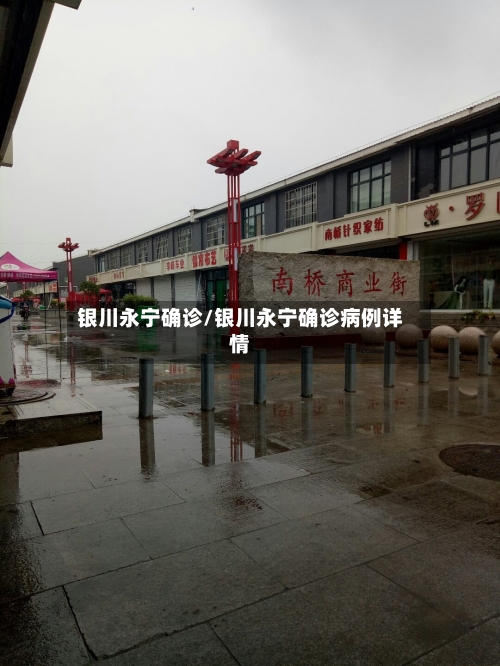 银川永宁确诊/银川永宁确诊病例详情-第2张图片