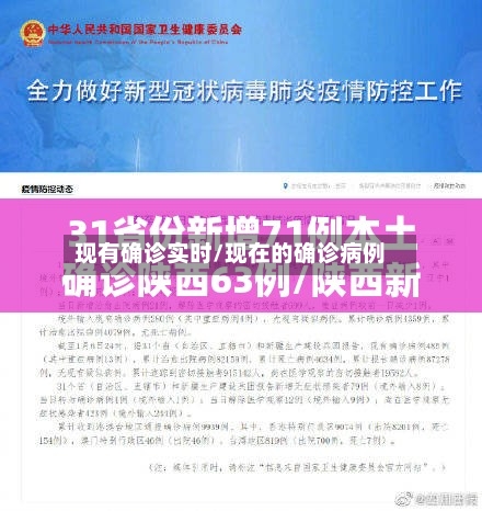 现有确诊实时/现在的确诊病例