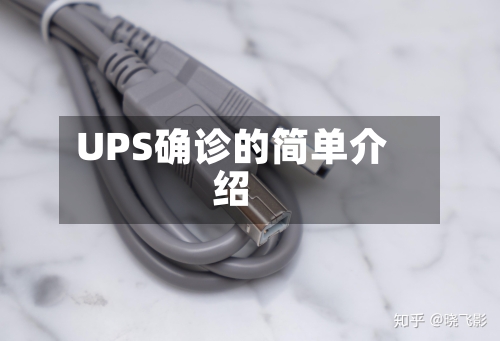 UPS确诊的简单介绍-第2张图片