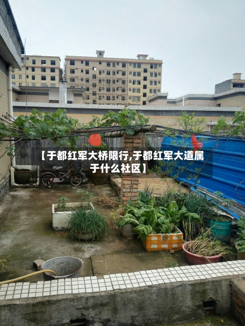 【于都红军大桥限行,于都红军大道属于什么社区】-第2张图片